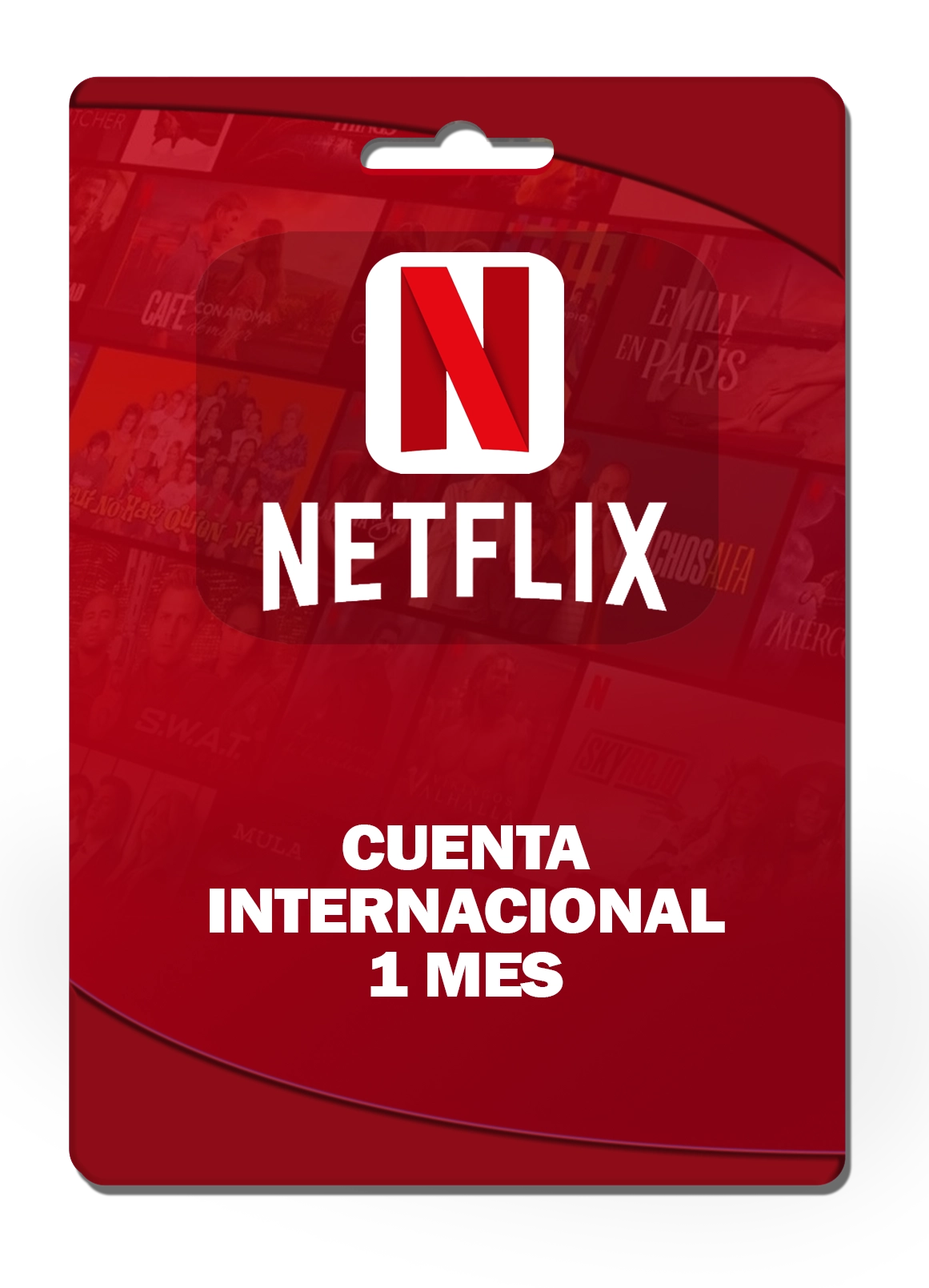 NETFLIX INTERNACIONAL