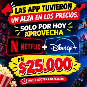 PROMO IMPERDIBLE NETFLIX+DISNEY
